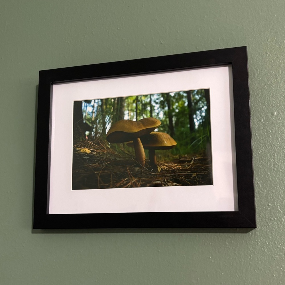 “River Shrooms” 🖤  4” x 6” Framed Original Print by deSmit Design - Picture 3 of 4
